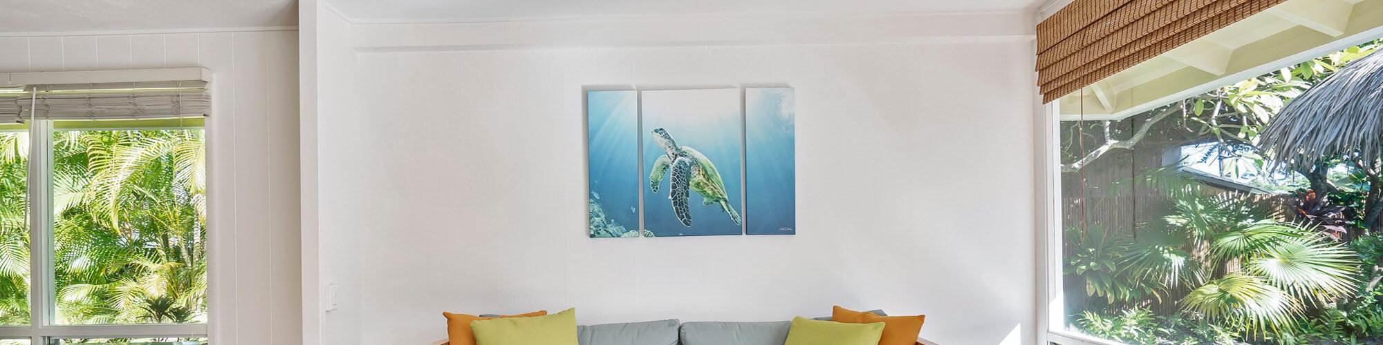 House Painting Quote Kapiti Coast Cost To Paint A House Te Horo